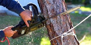 Best Soil Testing and Treatment  in Port Orchard, WA