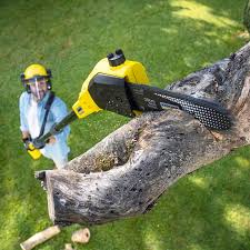 Best Seasonal Cleanup (Spring/Fall)  in Port Orchard, WA